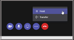 Put a call on hold